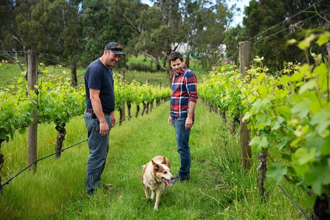 LGBT+ Friendly Full Day Yarra Valley & Dandenong Ranges Private Tour - Accommodation Main Beach 4