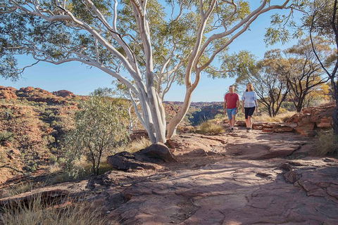 3-Day Tour From Uluru (Ayers Rock) To Alice Springs Via Kings Canyon - Accommodation Main Beach 1