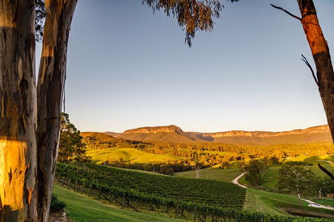 Taste Of The Blue Mountains - Lunch & Wine Tasting, Beer, Cider & Gin Tasting - Accommodation Main Beach 1