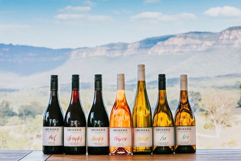 Taste Of The Blue Mountains - Lunch & Wine Tasting, Beer, Cider & Gin Tasting - Accommodation Main Beach 3