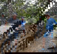 Fully guided E-Mountain Bike Tour on the beautiful Mornington Peninsula. - Accommodation Main Beach