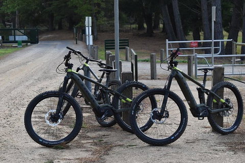 Fully Guided E-Mountain Bike Tour On The Beautiful Mornington Peninsula. - Accommodation Main Beach 2