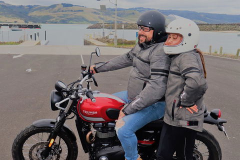 Triumph Street Scrambler 900cc - Accommodation Main Beach 1