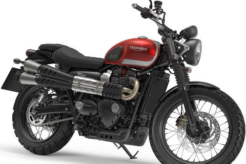 Triumph Street Scrambler 900cc - Accommodation Main Beach 3