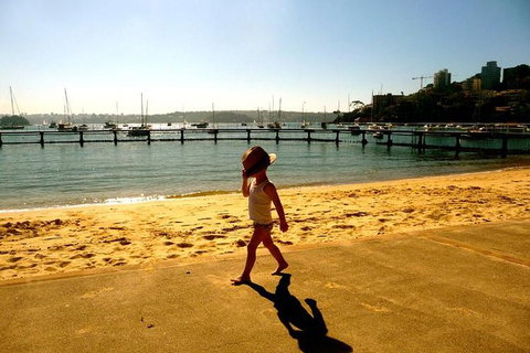 Morning Or Afternoon Highlights Tour In Sydney With A Local Guide - Accommodation Main Beach 3