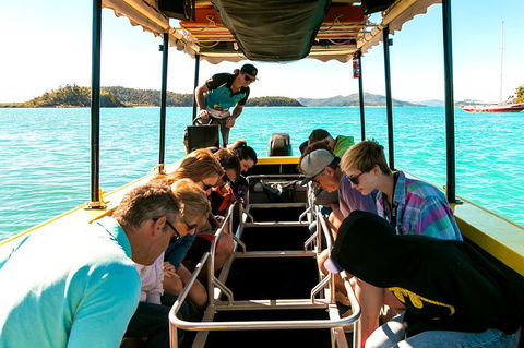 Airlie Beach Glass Bottom Boat Tour - Accommodation Main Beach 1