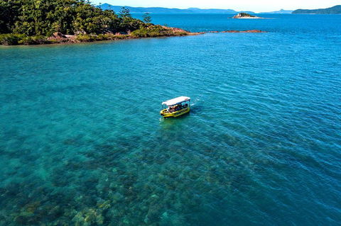 Airlie Beach Glass Bottom Boat Tour - Accommodation Main Beach 4
