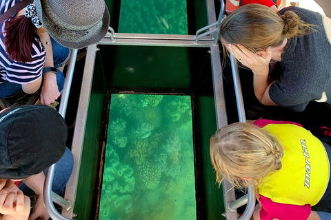 Airlie Beach Glass Bottom Boat Tour - Accommodation Main Beach 5