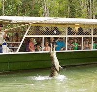 Hartley's Crocodile Adventure Half-Day Tour - Accommodation Main Beach