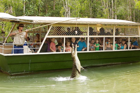 Hartley's Crocodile Adventure Half-Day Tour - Accommodation Main Beach 0