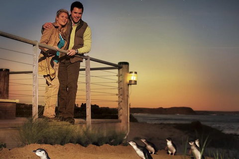 The Ultimate Melbourne Attractions Pass - Accommodation Main Beach 3