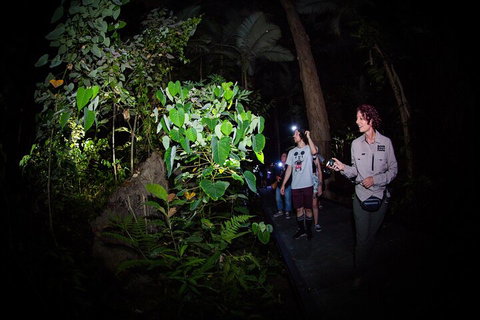 Let's Go Buggin & Let's Go Shroomin - Photography & Nature Walking Tours - Accommodation Main Beach 4