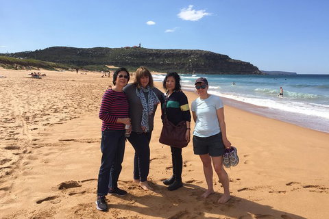 Small-Group Sydney's Northern Beaches And Ku-ring-gai National Park Bus Tour - Accommodation Main Beach 2