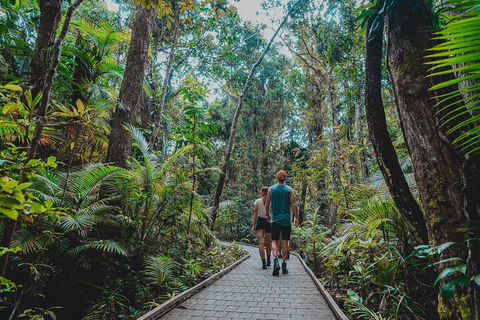 Full Day Cooktown Private Tour - Accommodation Main Beach 0