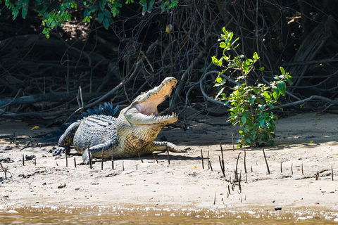 Full Day Cooktown Private Tour - Accommodation Main Beach 4