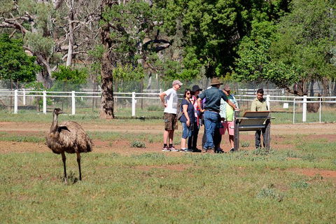 Yura Udnyu - Our Culture, Your Culture (Aboriginal Cultural Walk) - Accommodation Main Beach 1