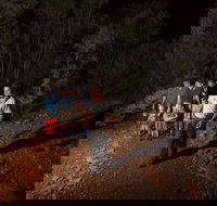 Alice Springs Desert Park Nocturnal Tour - Accommodation Main Beach