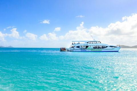 Whitehaven Beach And Daydream Island Cruise - Accommodation Main Beach 2