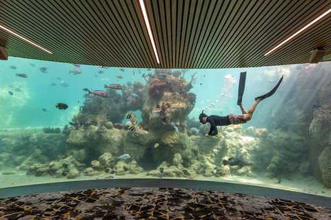 Whitehaven Beach And Daydream Island Cruise - Accommodation Main Beach 4