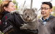 Bonorong Wildlife Park And Richmond Afternoon Tour From Hobart - thumb 0