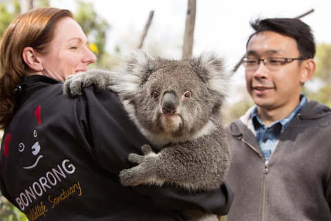 Bonorong Wildlife Park And Richmond Afternoon Tour From Hobart - Accommodation Main Beach 0