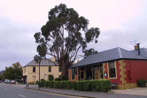 Bonorong Wildlife Park And Richmond Afternoon Tour From Hobart - Accommodation Main Beach 3