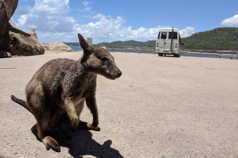 Magnetic Island Tour: Maggie Comprehensive - Accommodation Main Beach 0