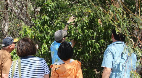 Magnetic Island Tour: Maggie Comprehensive - Accommodation Main Beach 4