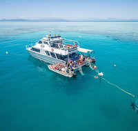 Ocean Freedom Great Barrier Reef Personal Luxury Snorkel  Dive Cruise Cairns