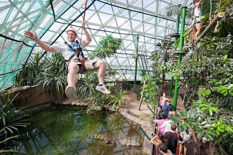 Cairns ZOOM And Wildlife Dome - Accommodation Main Beach 4