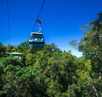 Classic Kuranda by Skyrail and Scenic Railway Including Rainforestation Koala and Wildlife Park and Pamagirri Aboriginal Experi