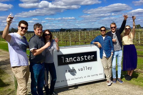 Swan Valley Tour From Perth: Wine, Beer And Chocolate Tastings - Accommodation Main Beach 1