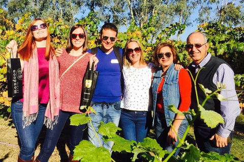 Swan Valley Tour From Perth: Wine, Beer And Chocolate Tastings - Accommodation Main Beach 2