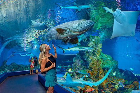 Cairns Aquarium Admission Ticket - Accommodation Main Beach 3