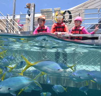 Outer Reef Pontoon Experience from Cairns - Accommodation Main Beach