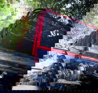 Blue Mountains Hop-on Hop-off Tour with Optional Scenic World Rides - Accommodation Main Beach