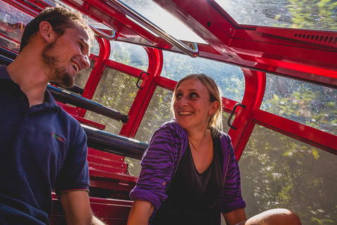 Blue Mountains Hop-on Hop-off Tour With Optional Scenic World Rides - Accommodation Main Beach 5