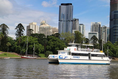 Lone Pine Koala Sanctuary Admission With Brisbane River Cruise - Accommodation Main Beach 2