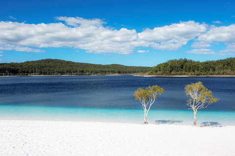 All-Inclusive Fraser Island Day Tour - Accommodation Main Beach 3