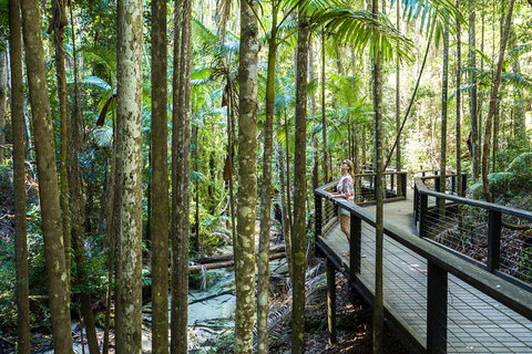 All-Inclusive Fraser Island Day Tour - Accommodation Main Beach 5