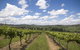 Hunter Valley Wine Tour From Sydney Incl Lunch, Cheese, Chocolate And Distillery - thumb 0