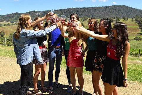 Hunter Valley Wine Tour From Sydney Incl Lunch, Cheese, Chocolate And Distillery - Accommodation Main Beach 3