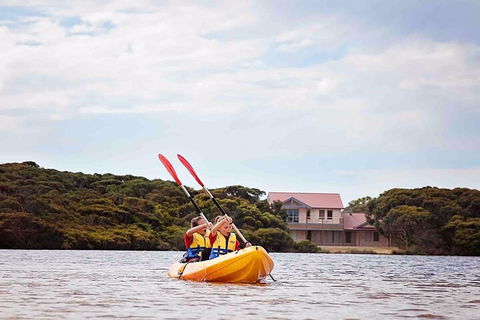 Kangaroo Island Self-Guided Kayaking On The Harriet River - Accommodation Main Beach 5