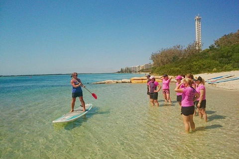 Golden Beach 1-Hour Stand-Up Paddleboard Hire On The Sunshine Coast - Accommodation Main Beach 1