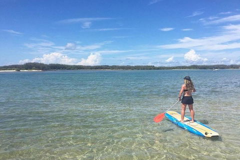 Golden Beach 1-Hour Stand-Up Paddleboard Hire On The Sunshine Coast - Accommodation Main Beach 4